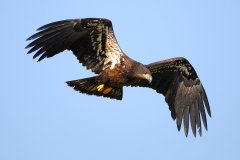 DSC_4754
