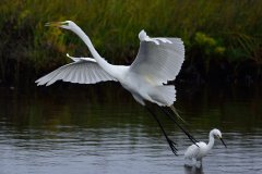 DSC_7657_15