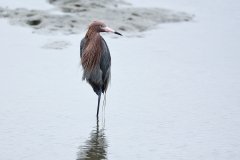 DSC_8870
