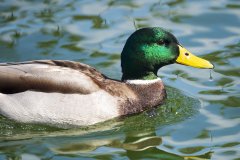 Image00102
