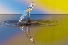 DSC_4807