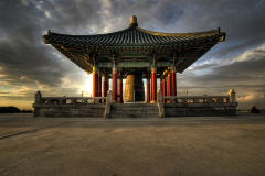 DSC_7479_80_81_82_83